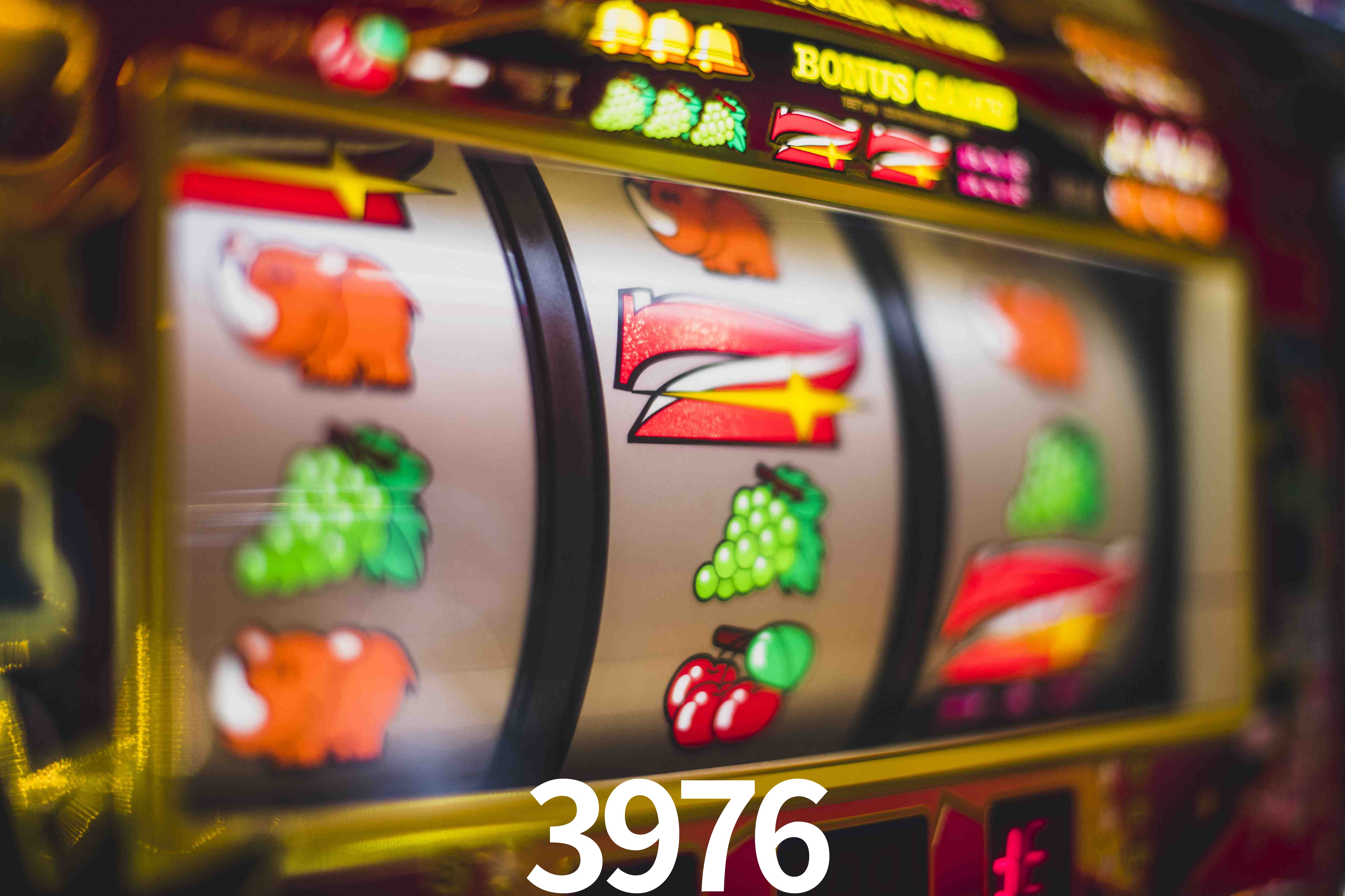 Basketball Betting 3976